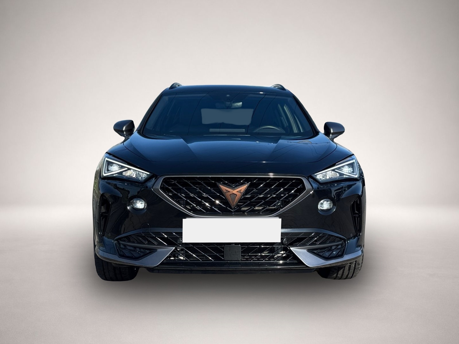 Fotografie 1 des Cupra Formentor TSI DSG|el.HECK|NAV|KAMERA|ACC|KEYLESS