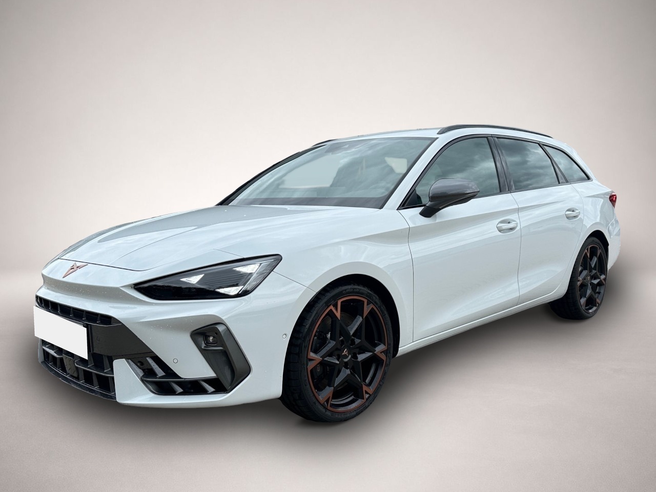 Bild Leon Cupra