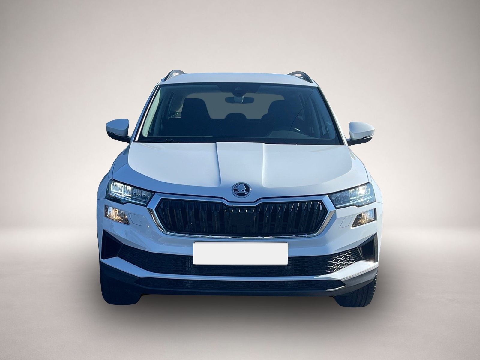 Fotografie Skoda Karoq Selection TSI DSG|NAVI|KAMERA|VORB.AHK|SHZ