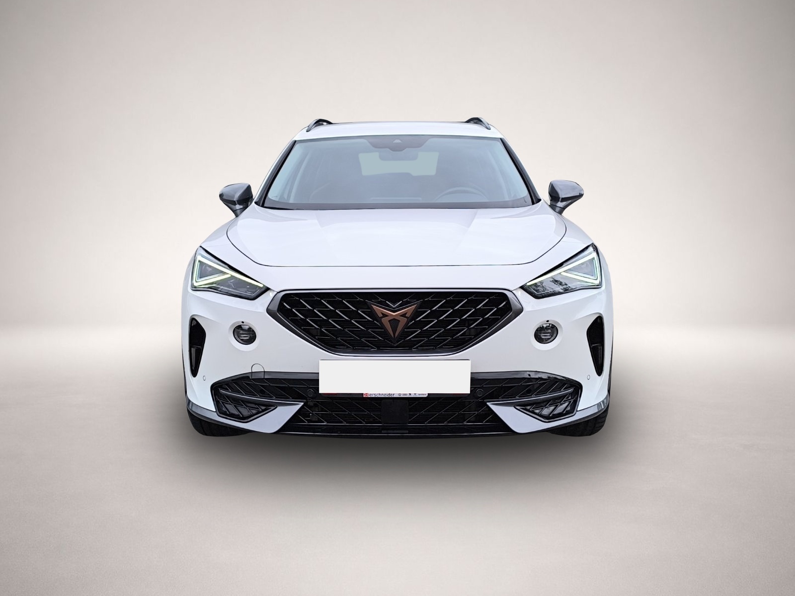 Bild 2 Cupra Formentor 2.0 TSI DSG 4Drive MATRIX ACC PDC FULL