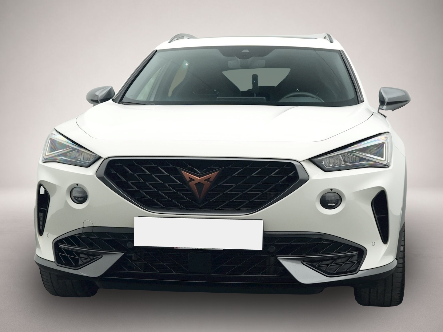 Bild 8 Cupra Formentor 2.0 TSI DSG 4Dr. VZ PANO BREMBO AHK LE