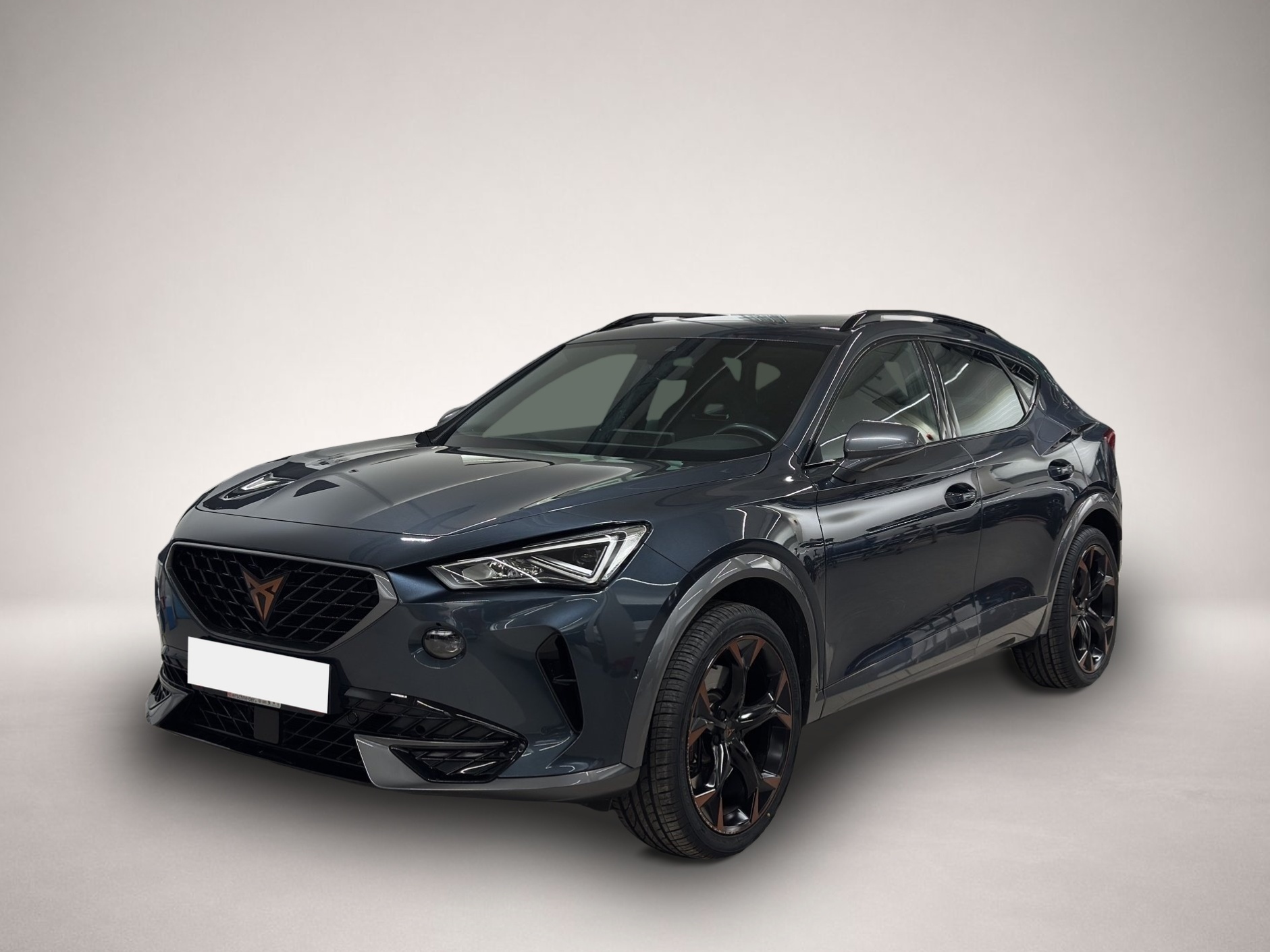 Fotografie Cupra Formentor 2.0 TSI DSG 4Drive VZ LED NAVI PANO 19