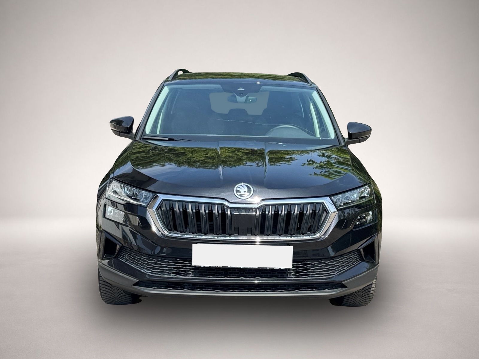 Bild 8 Skoda Karoq 1.5 TSI DSG Selection *LED*Navi*Kamera*