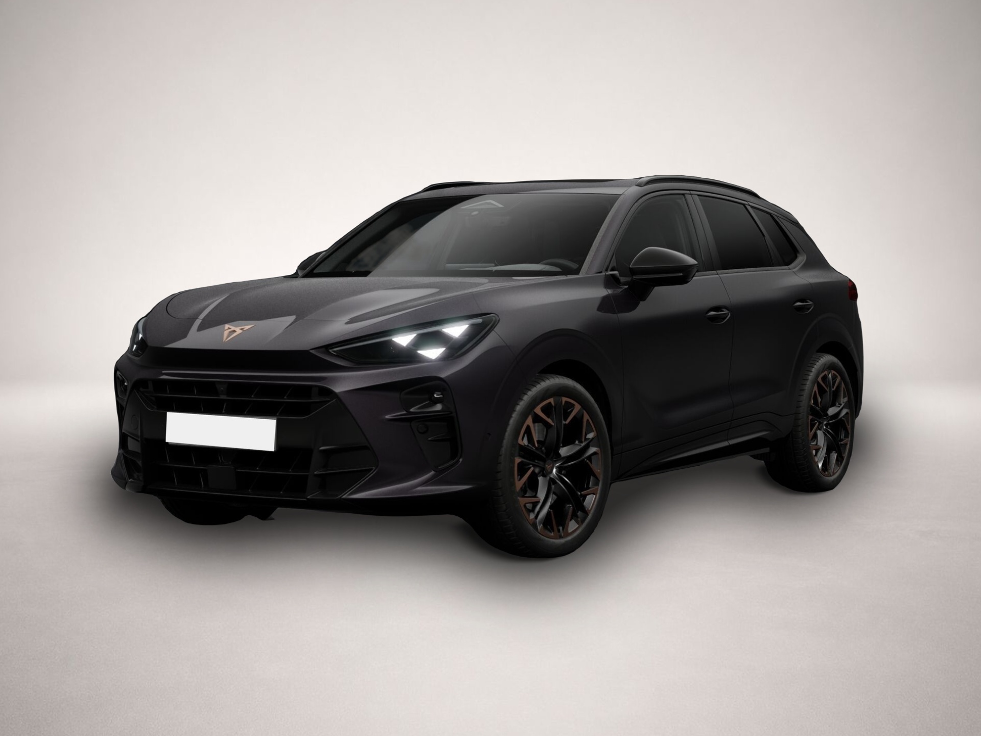 Bild Terramar Cupra