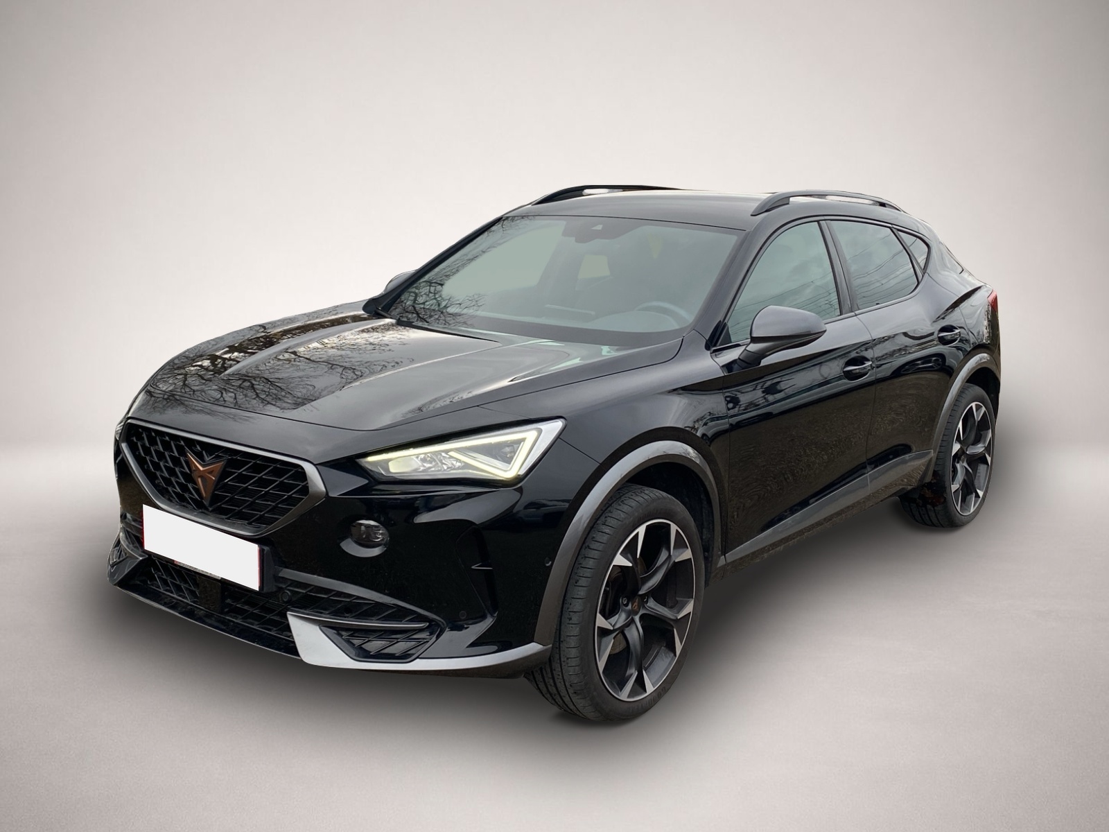 Fotografie Cupra Formentor 1.5 TSI DSG KAMERA NAVI LED ACC ALU 19