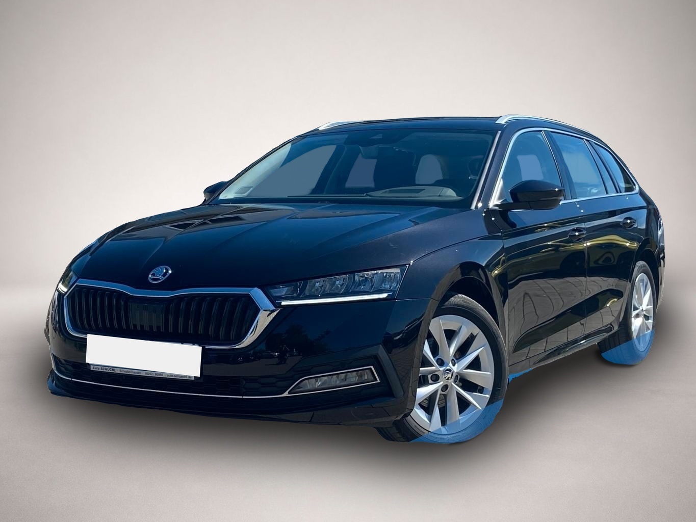 Bild Octavia Skoda