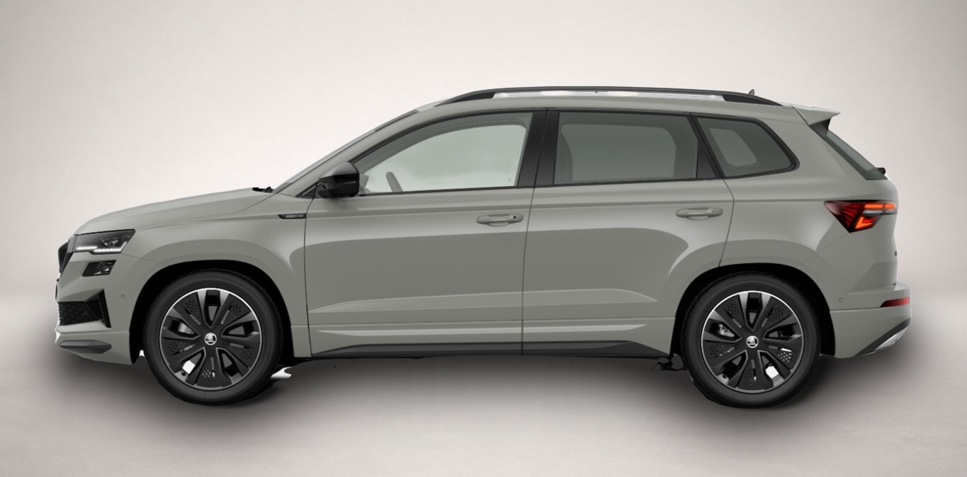 Bild 2 Skoda Karoq DSG 4x4 Sportl Pano Matrix Nav 360° Canton