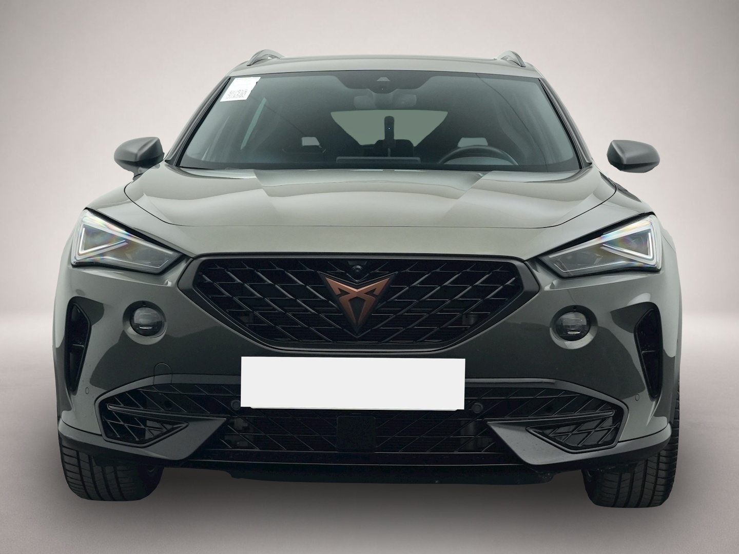Bild 8 Cupra Formentor 2.0 TSI DSG 4Dr. Tribe Edition MATRIX
