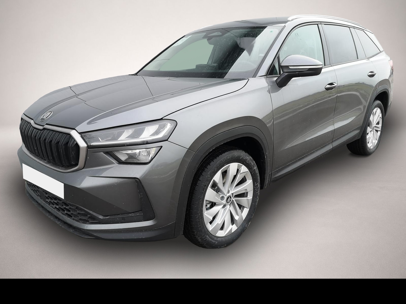 Bild Kodiaq Skoda