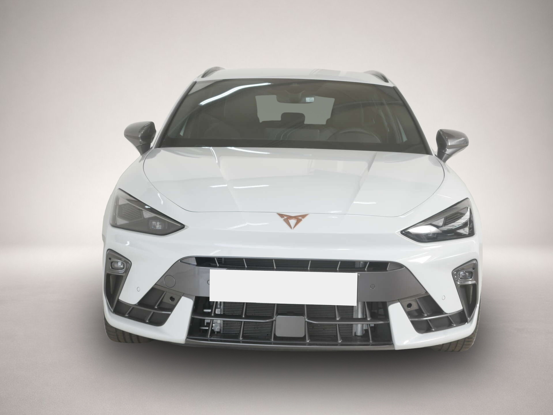 Bild 2 Cupra Leon Sportstourer 2.0 TDI