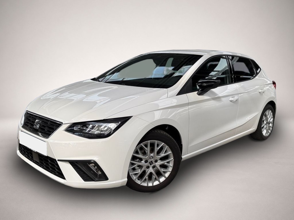 Ibiza Seat