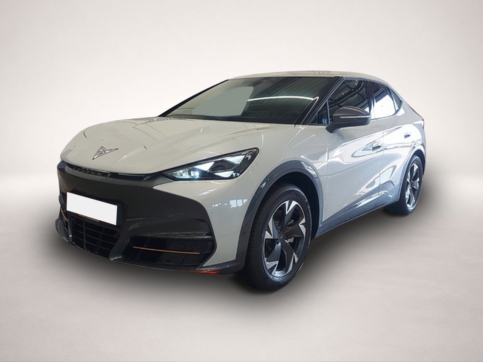 Bild Tavascan Cupra