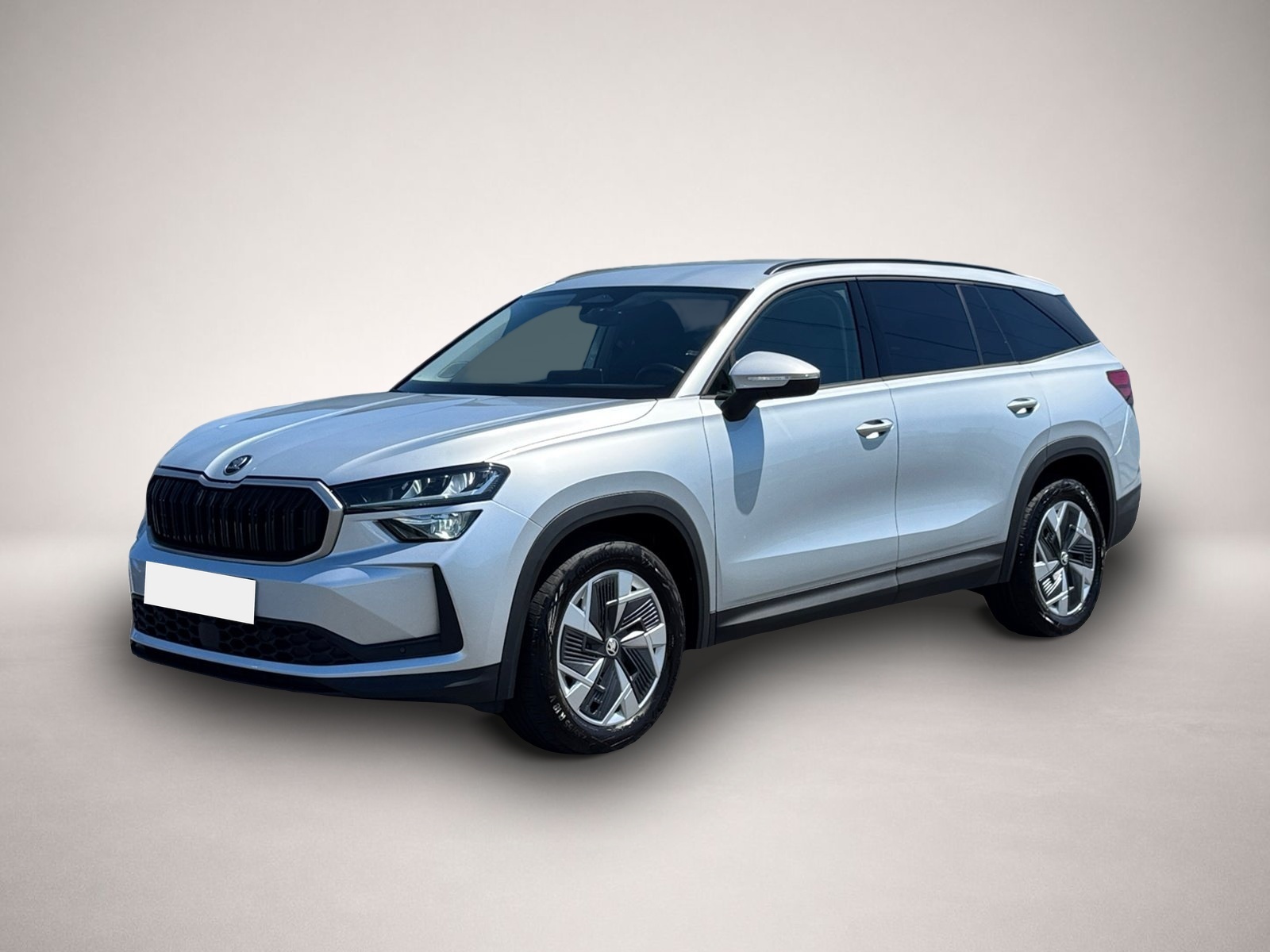 Bild Kodiaq Skoda