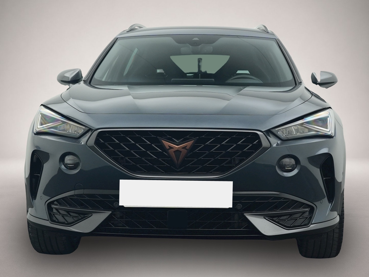 Fotografie 8 des Cupra Formentor 1.4 TSI e-Hybrid DSG VZ LED NAVI AHK S
