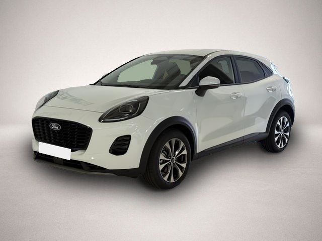 Bild Puma Ford