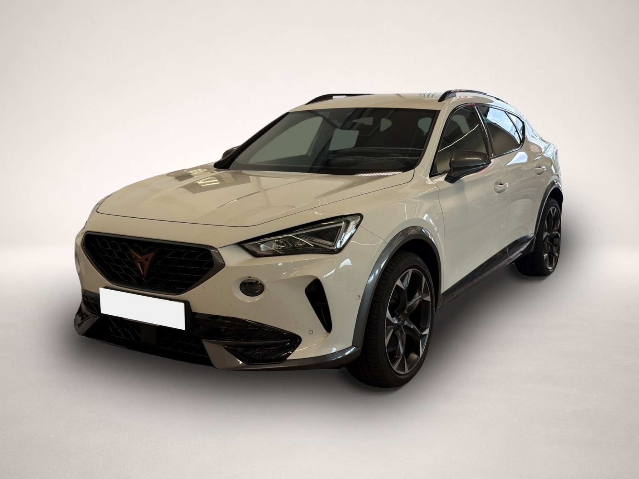 Fotografie Cupra Formentor 2.0 TSI DSG 4Drive VZ LED+NAVI+KAMERA+