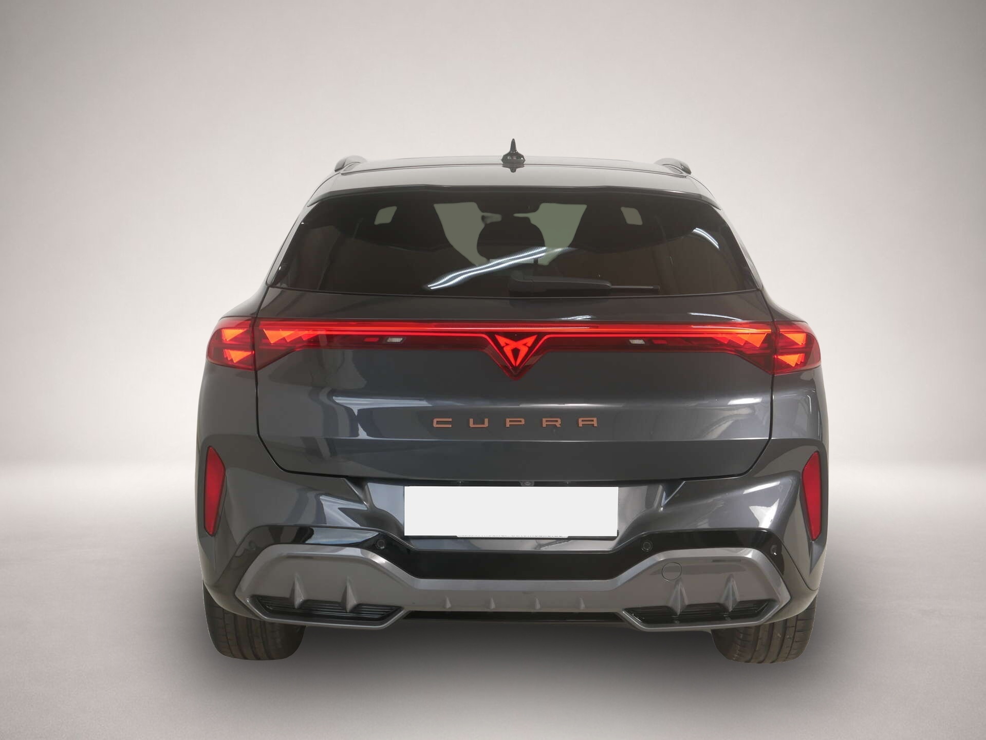 Bild 4 Cupra Terramar 2.0 TSI