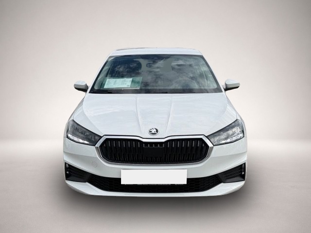 Bild 8 Skoda Fabia 1.0 TSI Active PDC hinten,SHZ.,
