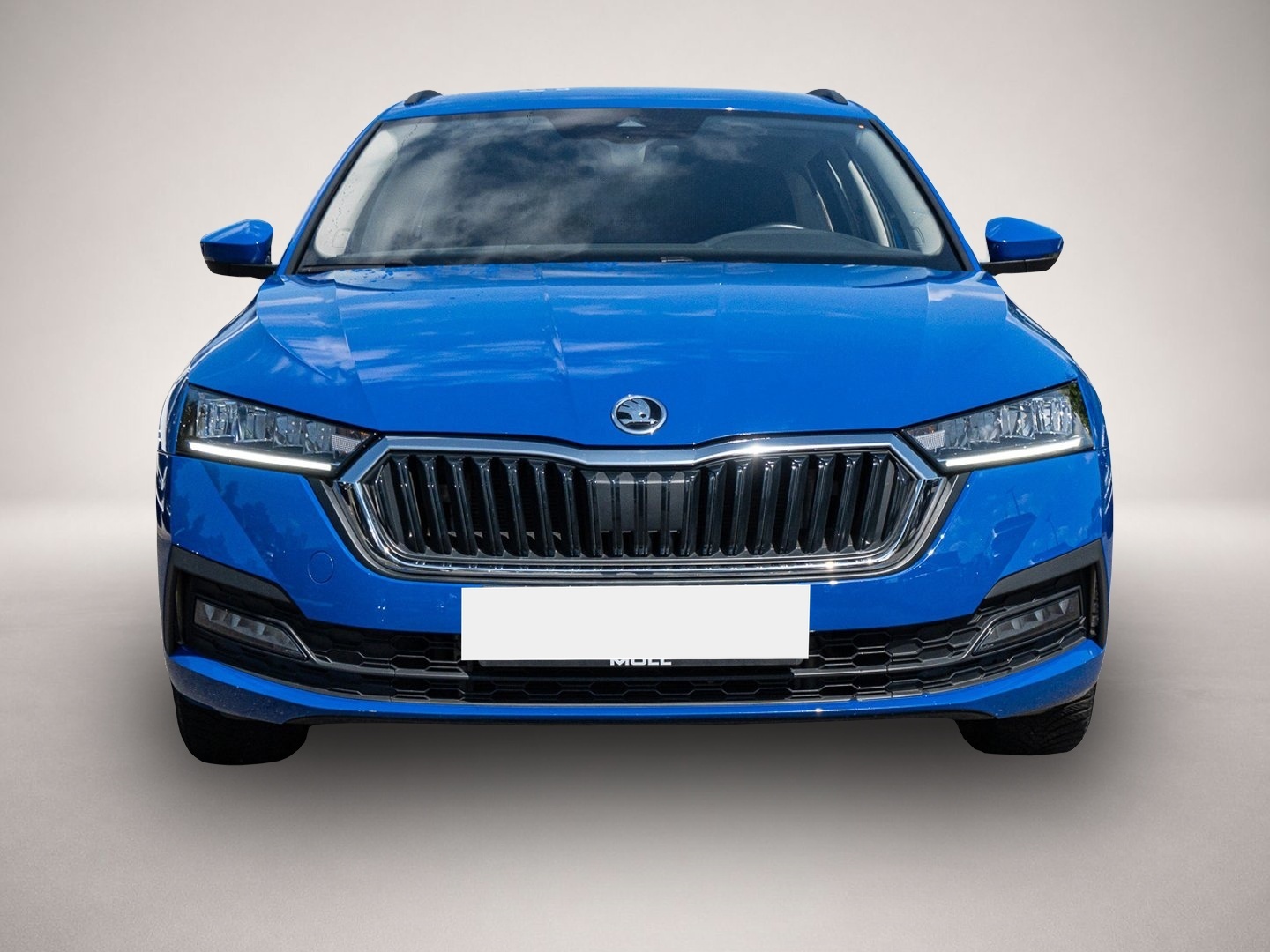 Bild Octavia Skoda