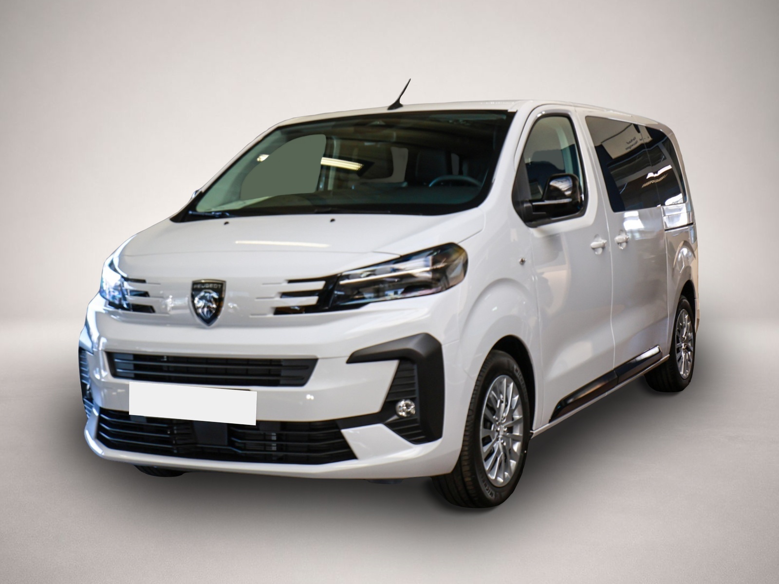Bild 1 Peugeot Traveller