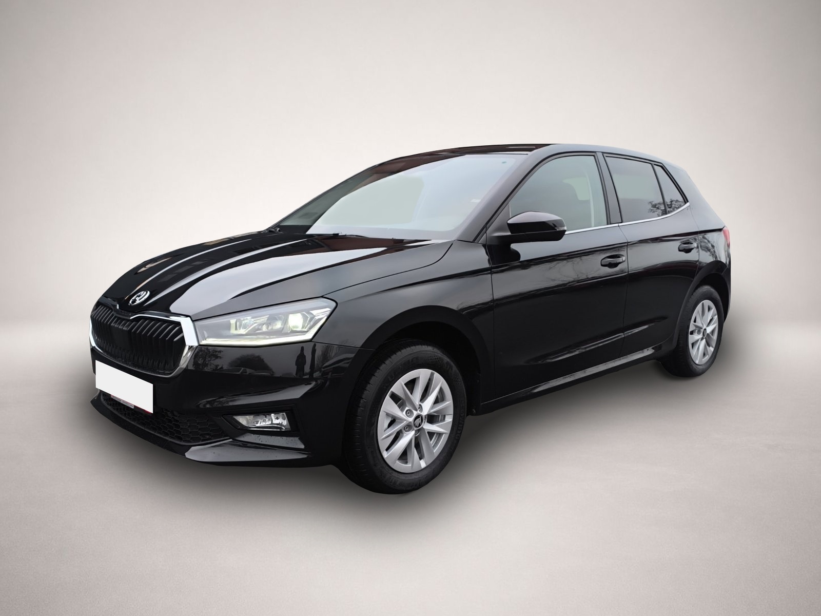 Bild 1 Skoda Fabia 1.0 TSI Selection WINTER KESSY PDC VZE SMA