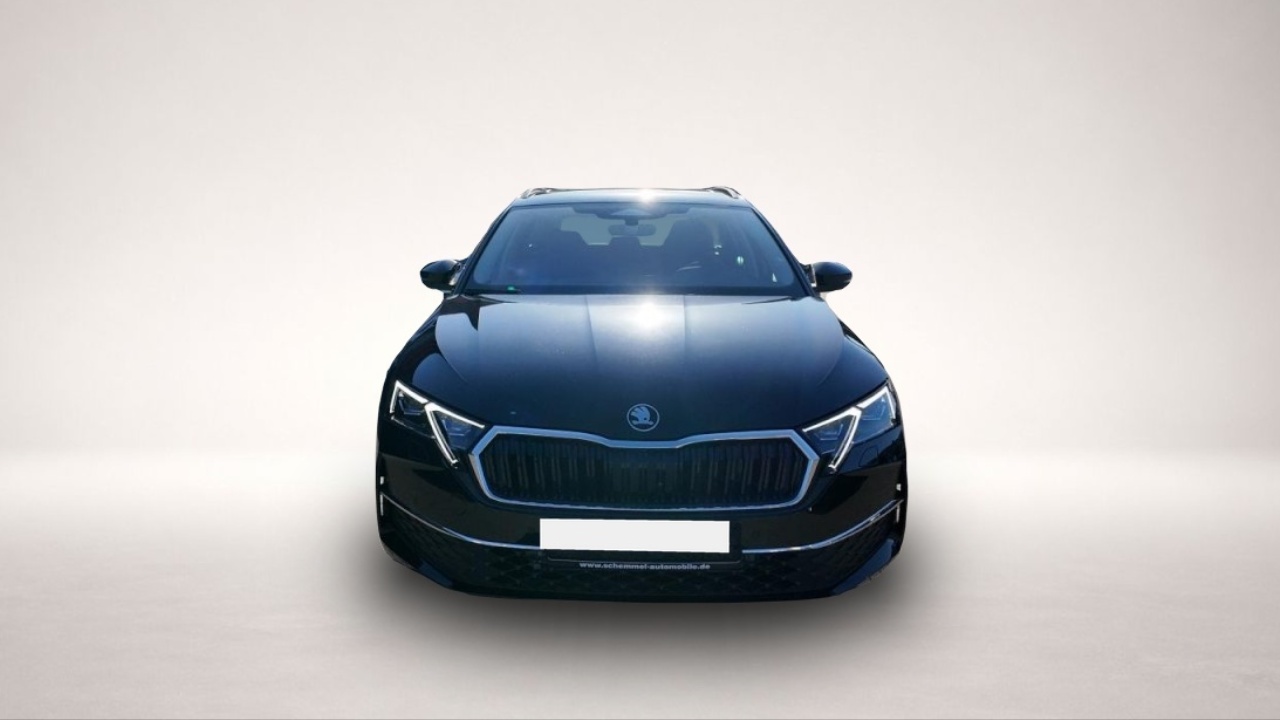 Skoda Octavia Octavia 2.0 TDI DPF Pano/Standheizung/18Zoll - Thumbnail 2