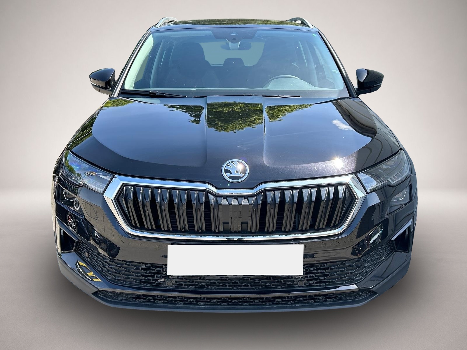 Bild 2 Skoda Karoq Plus 2.0 TDI DSG AHK*Android Auto*Matrix*E