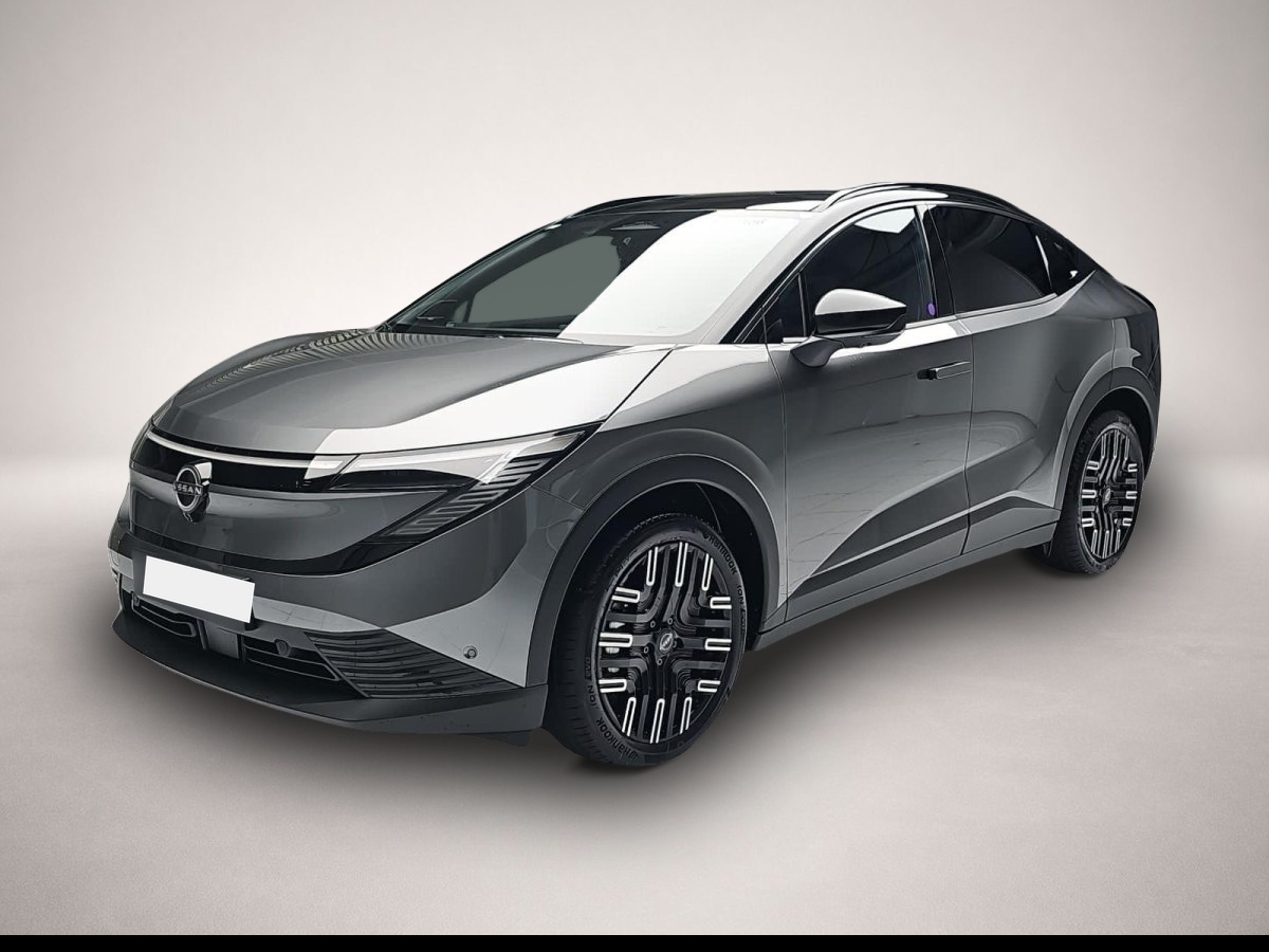 Bild Leaf Nissan