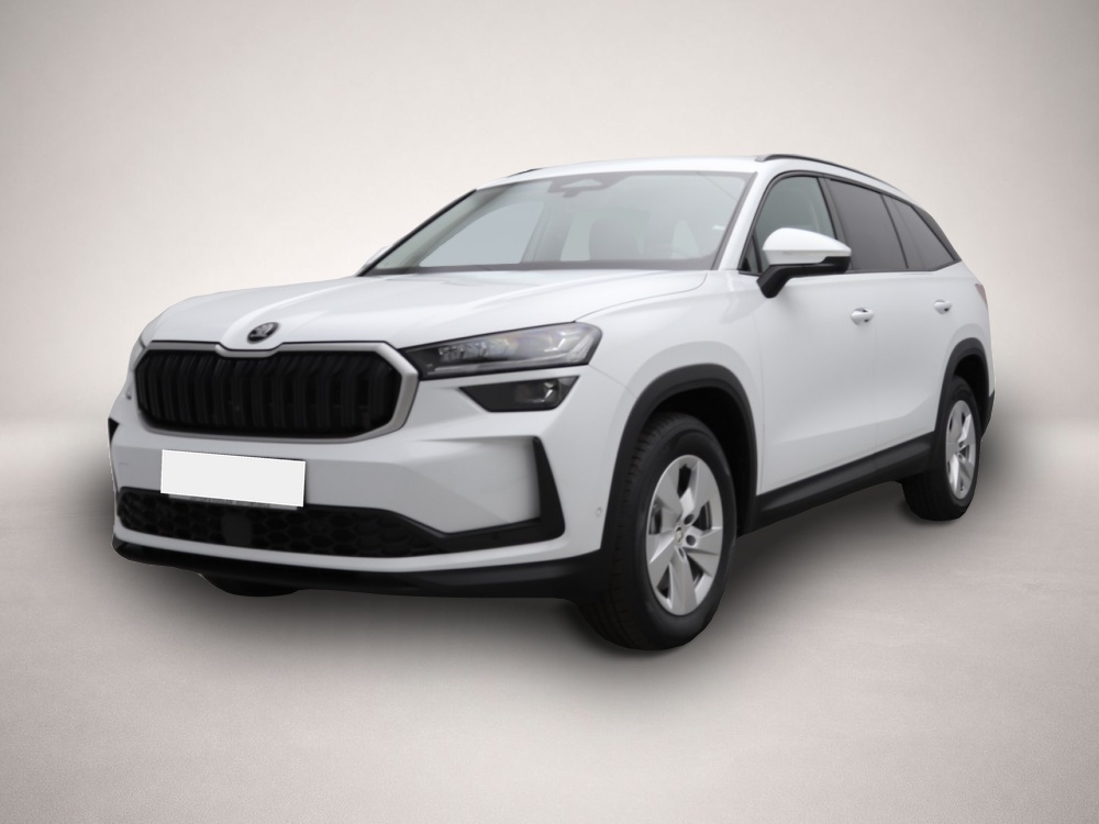 Bild Kodiaq Skoda