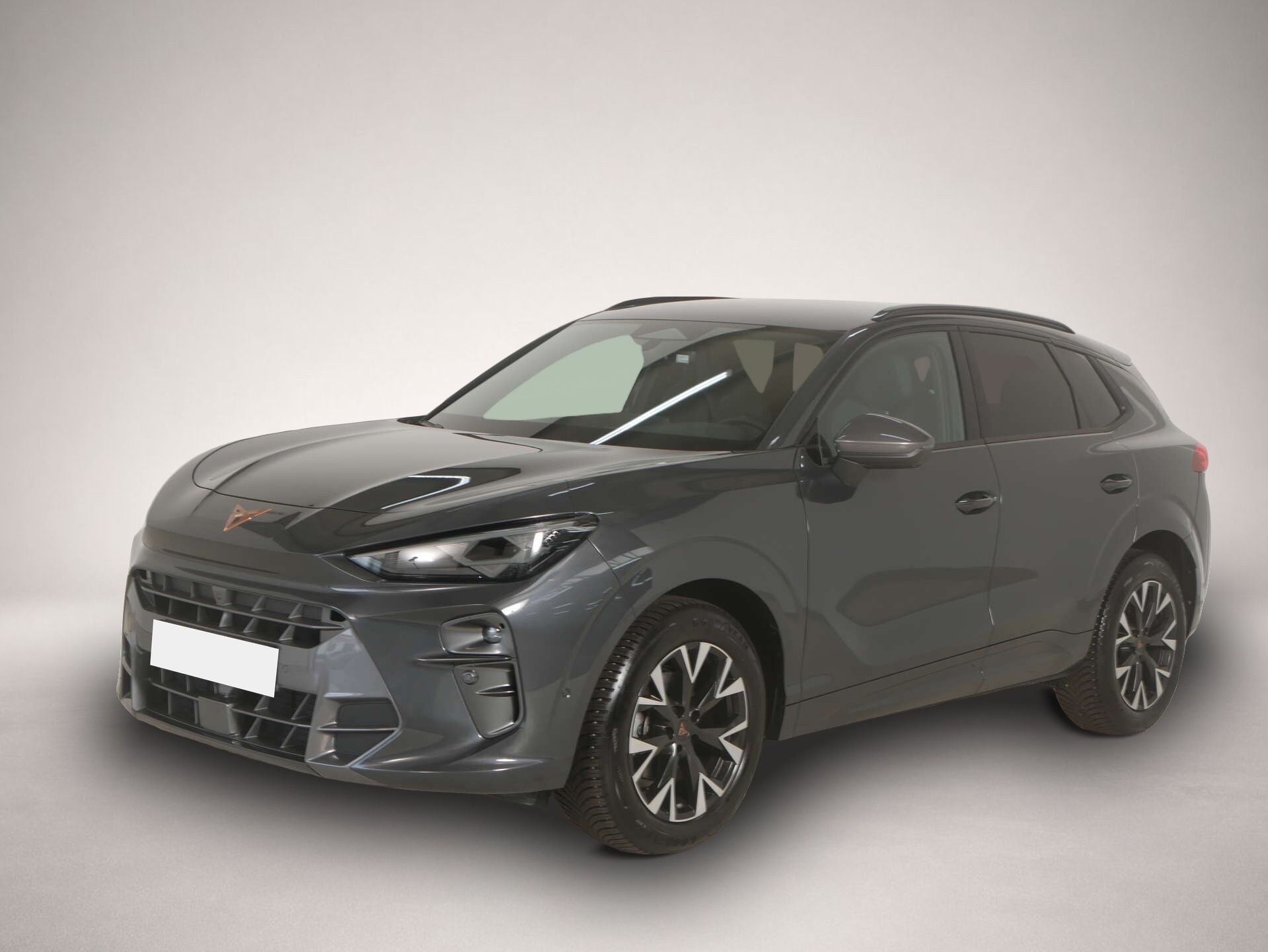 Fotografie Cupra Terramar 1.5 eTSI