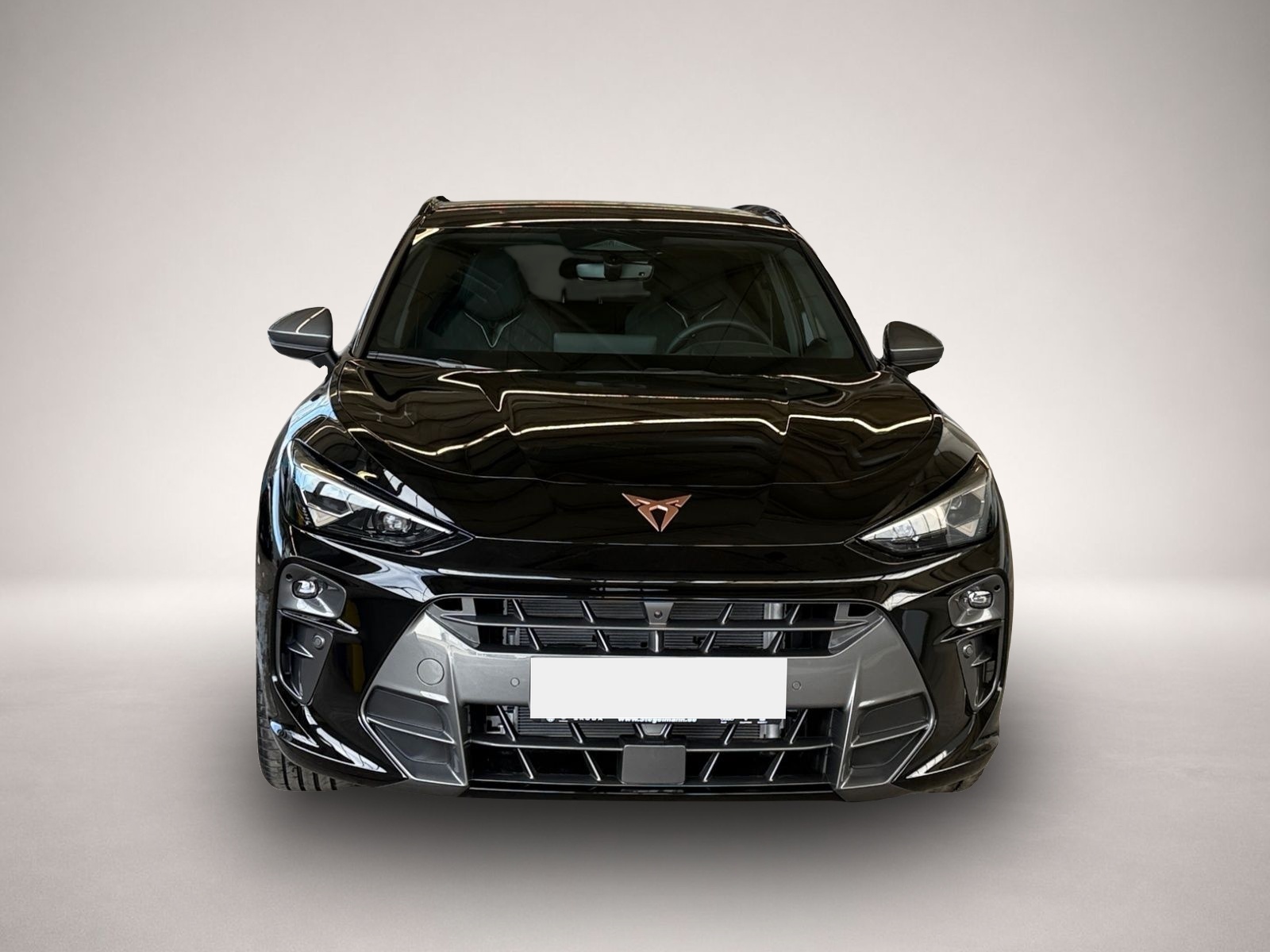 Bild 8 Cupra Terramar 1.5 e-Hybrid AHK HD Matrix LED Paket Dy
