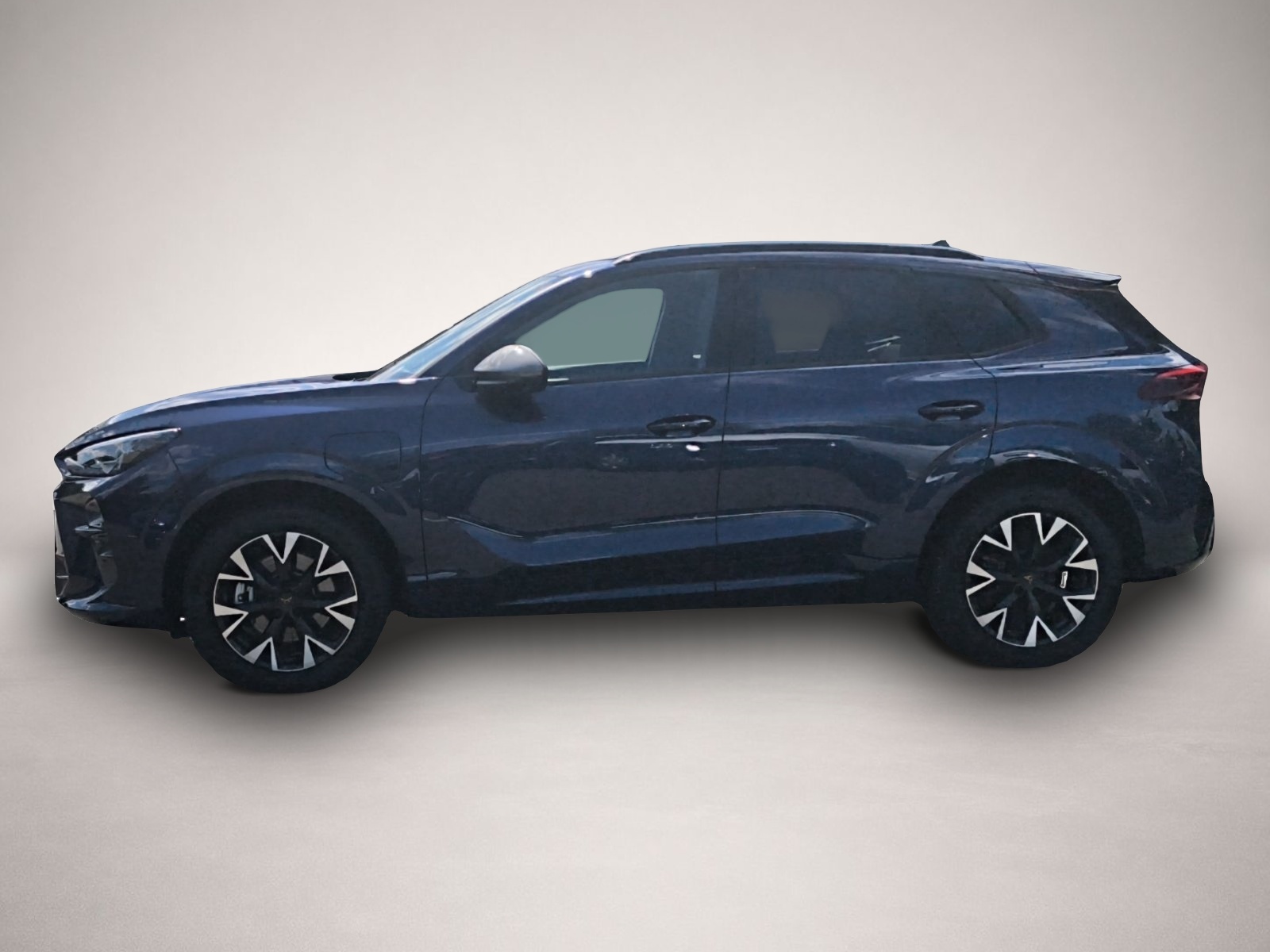 Bild 4 Cupra Terramar 1.5 e-Hybrid DSG 5-J-G HUD NAV 18 LM LE