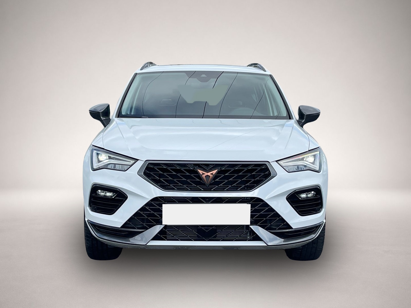 Fotografie des Cupra Ateca 4Drive TSI DSG|PANO|AHK|19