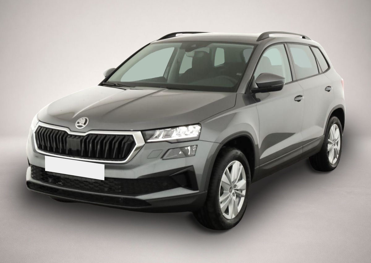 Bild Karoq Skoda