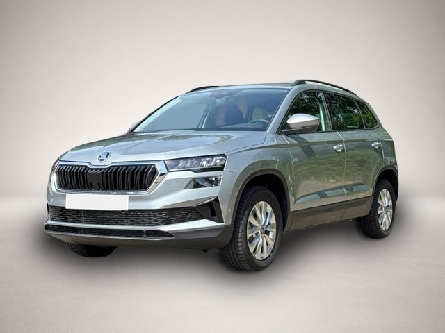 Bild Karoq Skoda