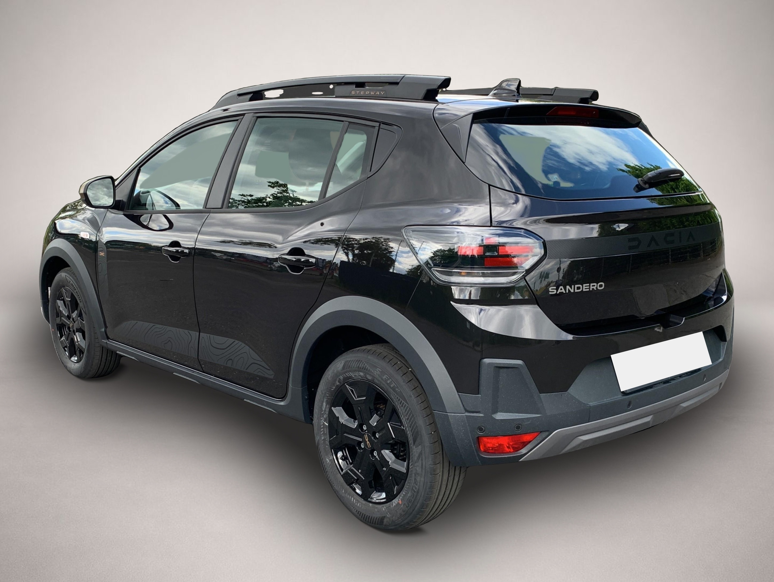 Fotografie 3 des Dacia Sandero Stepway Extreme TCe 110 / Winter / 360°