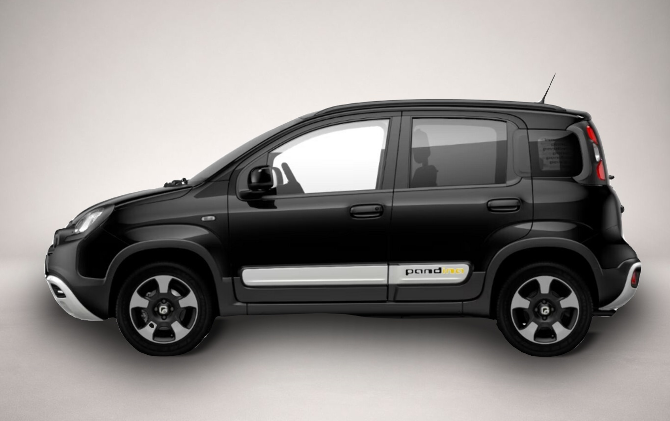 Bild 2 Fiat Panda Cross 5S PDC CarP/AndroidA PrivG 15Z NSW
