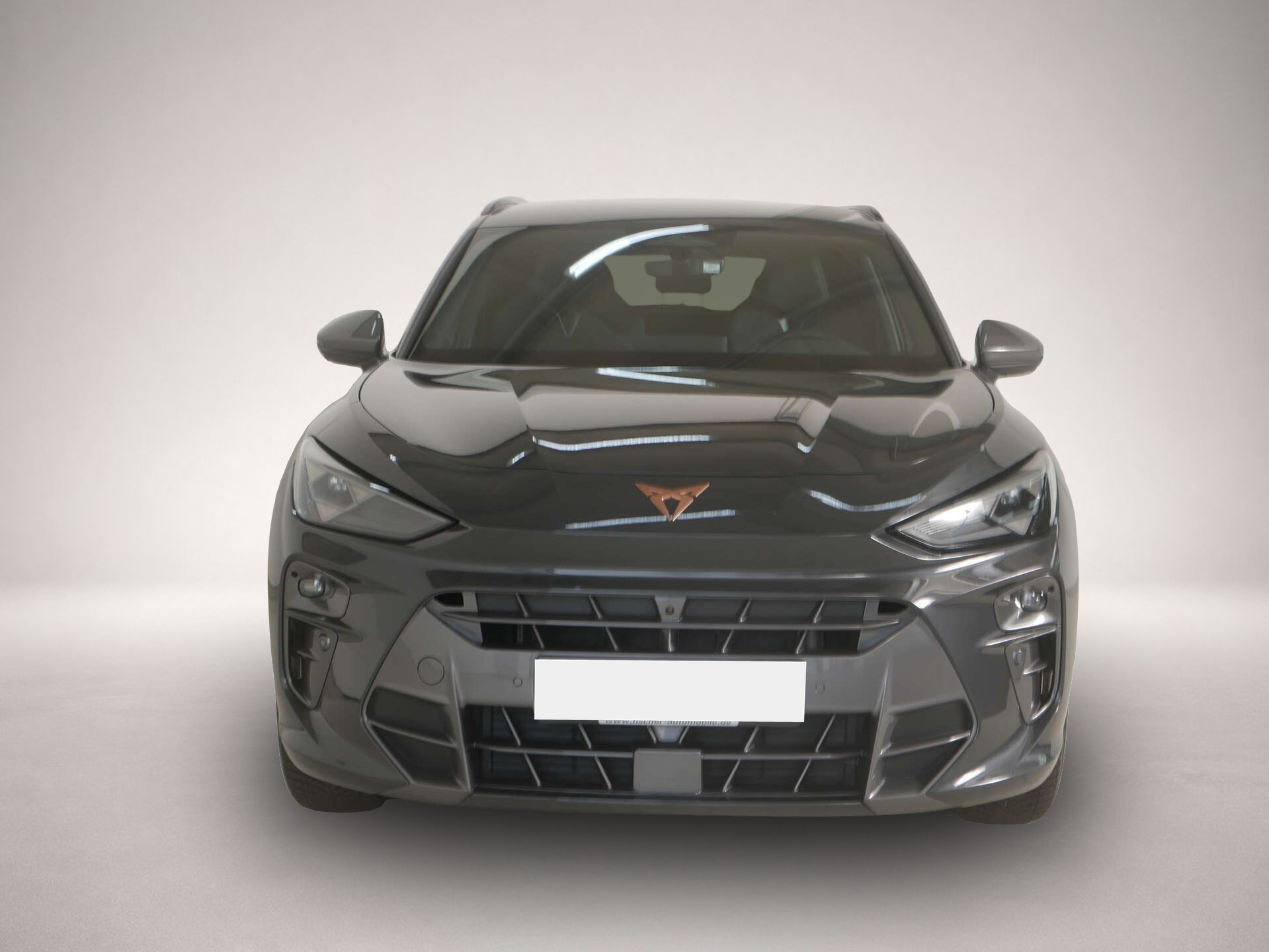 Bild 2 Cupra Terramar 1.5 eTSI