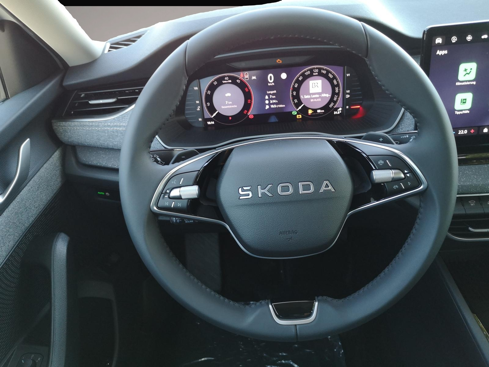 Bild Octavia Skoda