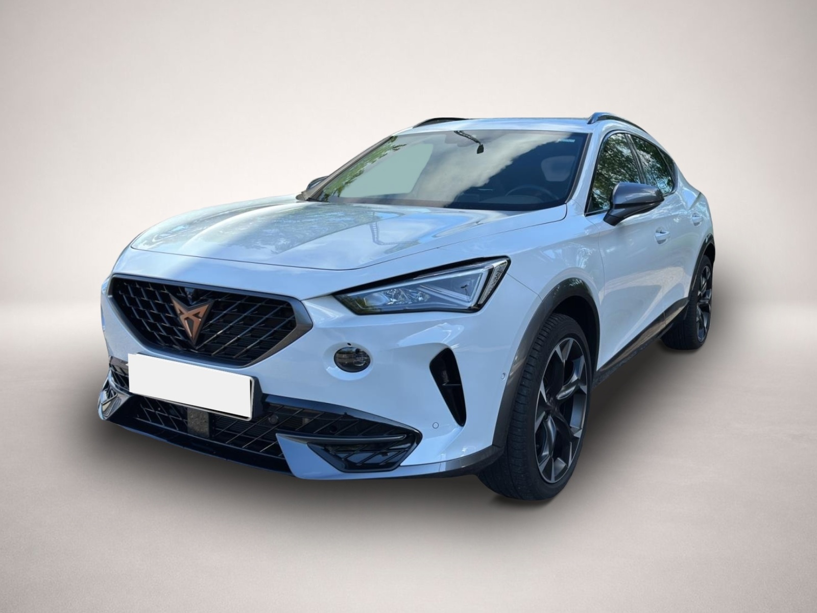 Fotografie Cupra Formentor 2.0 TSI DSG 4Dr AB298EUR VZ AHK NAVI S