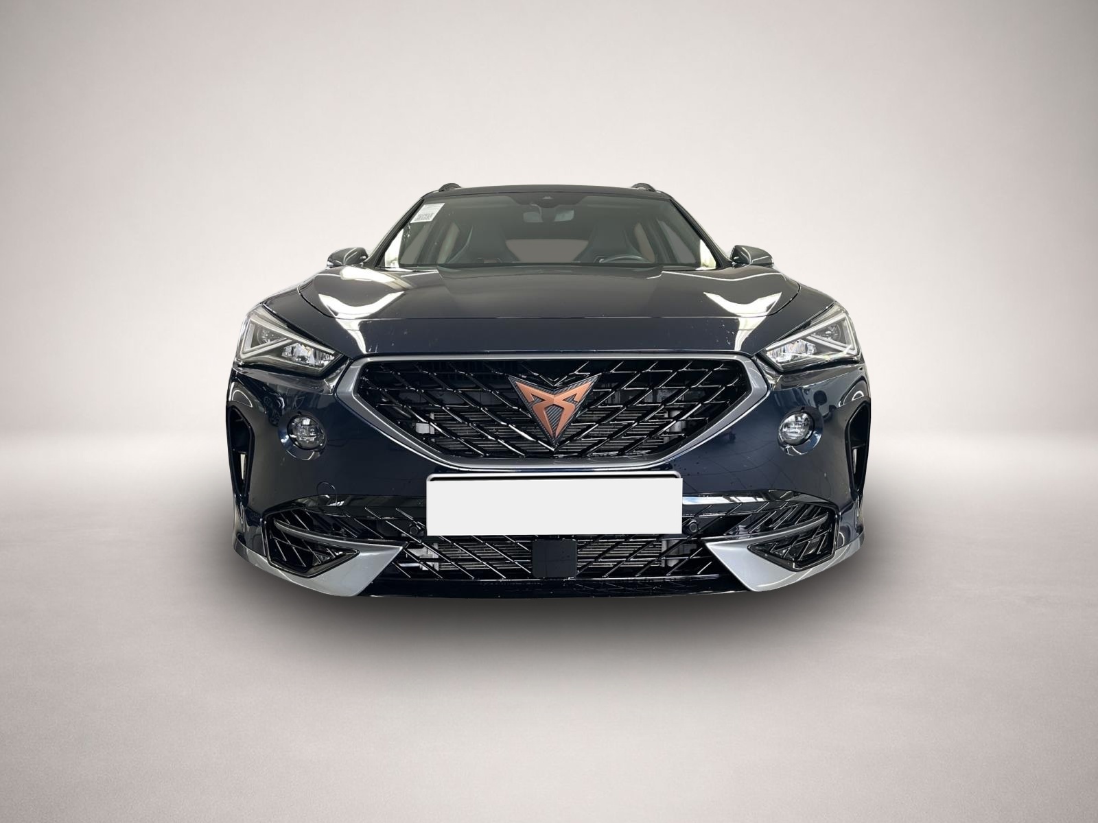Fotografie 2 des Cupra Formentor 2.0 TSI DSG 4Dr VZ AHK BEATS NAVI REAR