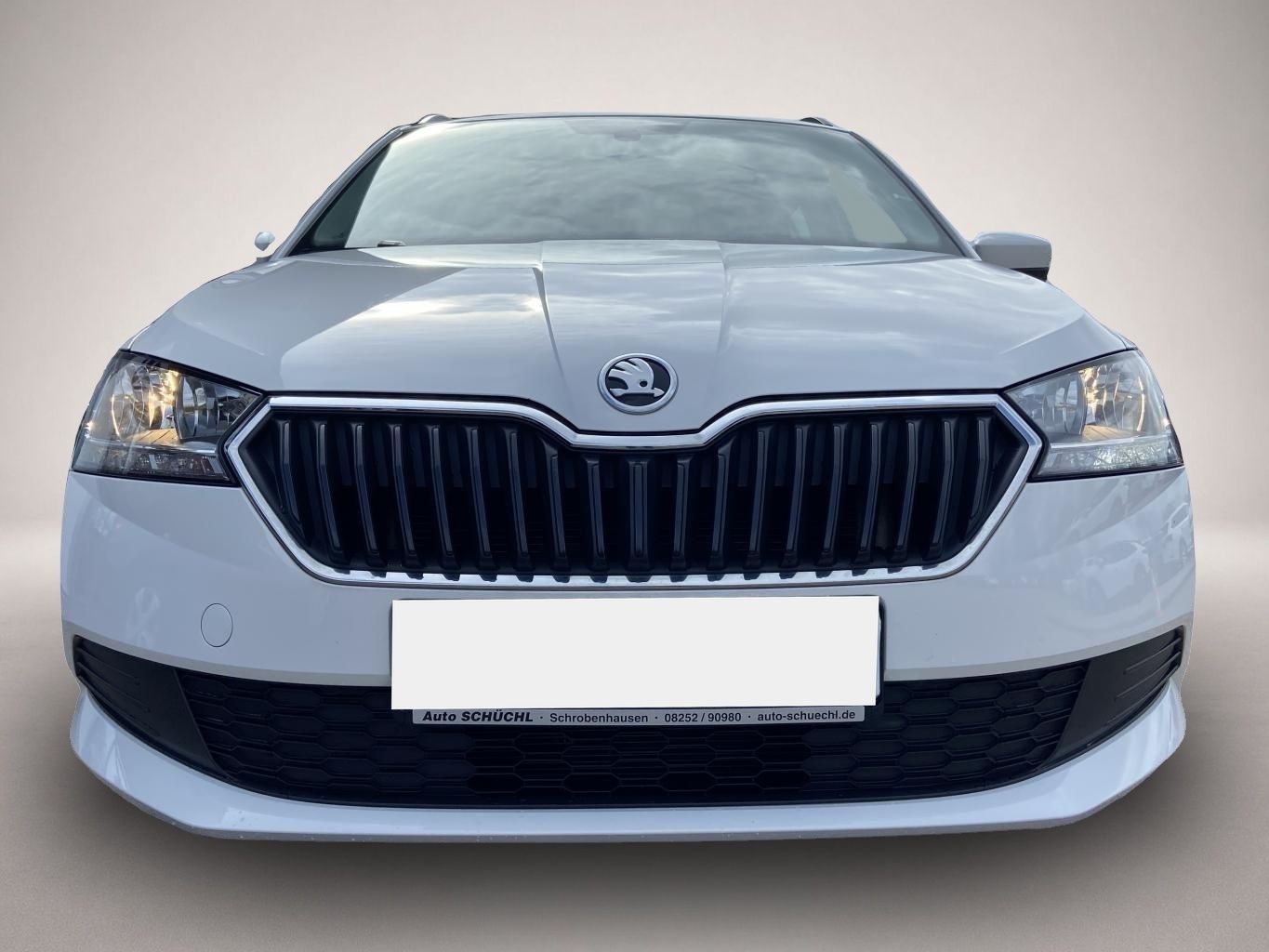 Bild 7 Skoda Fabia Combi 1.0 TSI DSG Ambition SMART-LINK+NAVI
