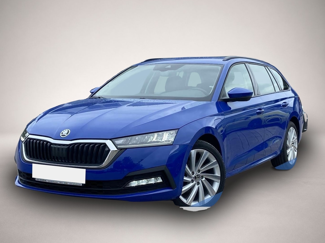 Bild Octavia Skoda