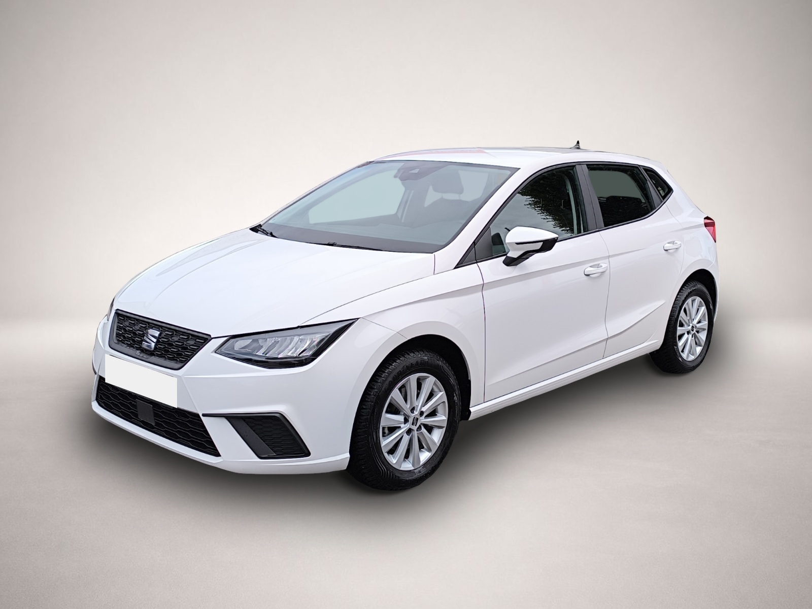 Ibiza Seat