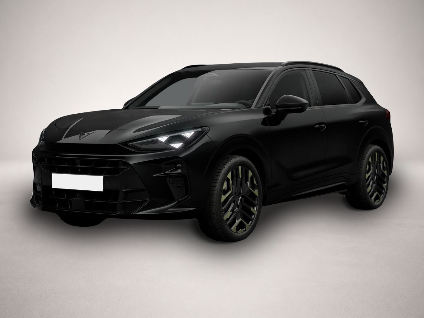 Bild Terramar Cupra