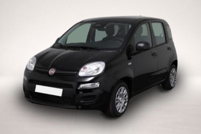 Bild 2 Fiat Panda Pandina Icon Panda (Pandina Icon) 1.0 Mild-Hybr.