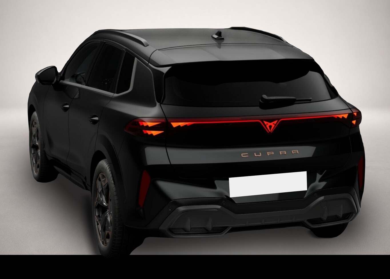 Bild 5 Cupra Terramar DSG Matrix IntelliD Dinamica Edge 360°