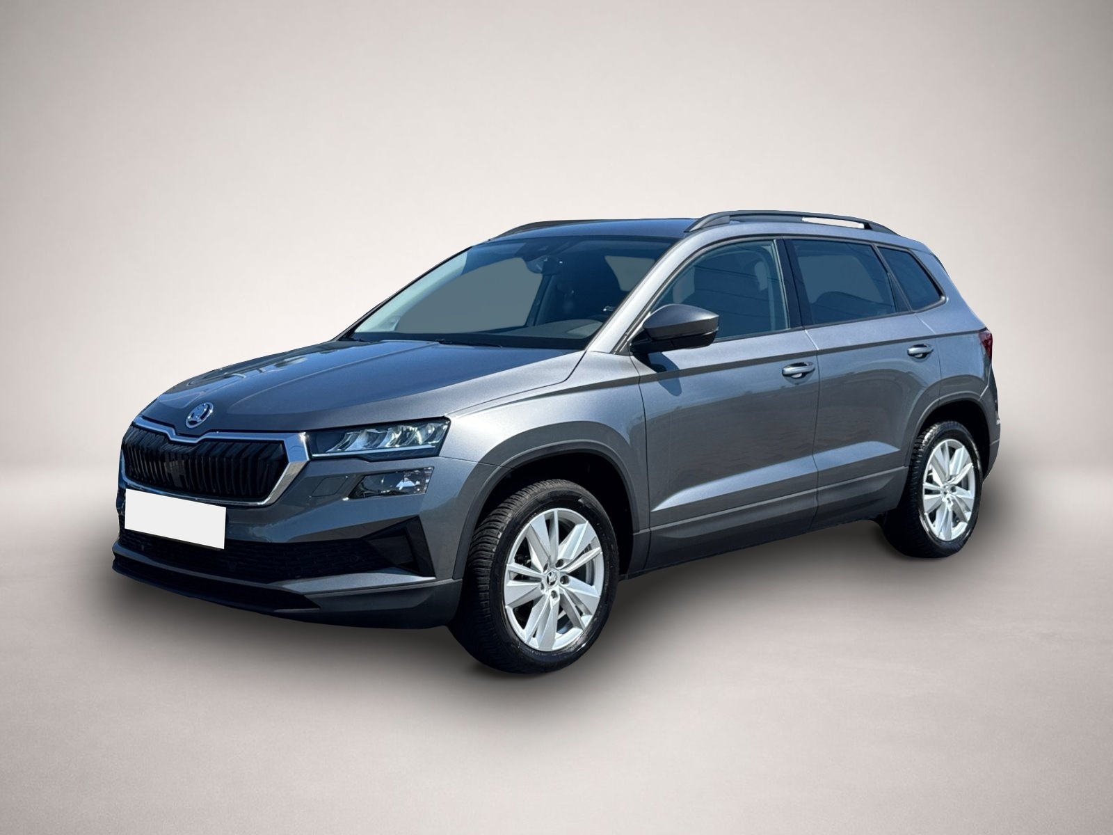 Bild 1 Skoda Karoq Selection 4x4 TDI DSG|ACC|NAVI|KAMERA|