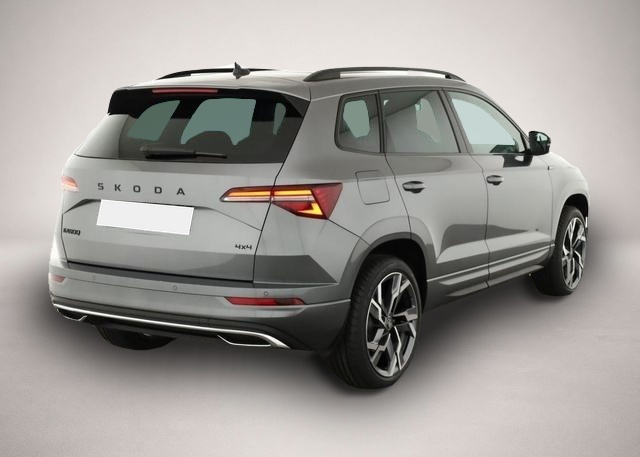 Bild Karoq Skoda