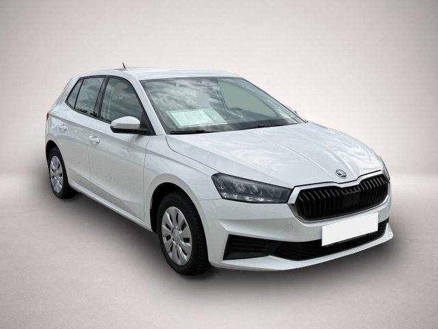 Bild 7 Skoda Fabia 1.0 TSI Active PDC hinten,SHZ.,